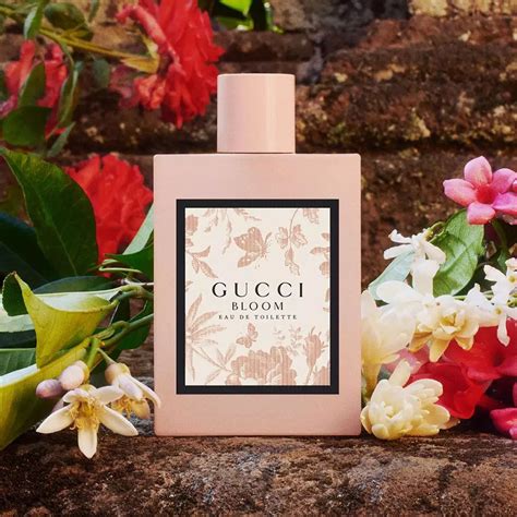 gucci bloom fragrantica|Gucci Bloom fragrance.